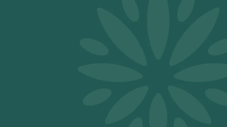 Daisy on green background