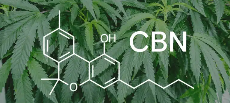 CBN molecule in front of cannabis leaves