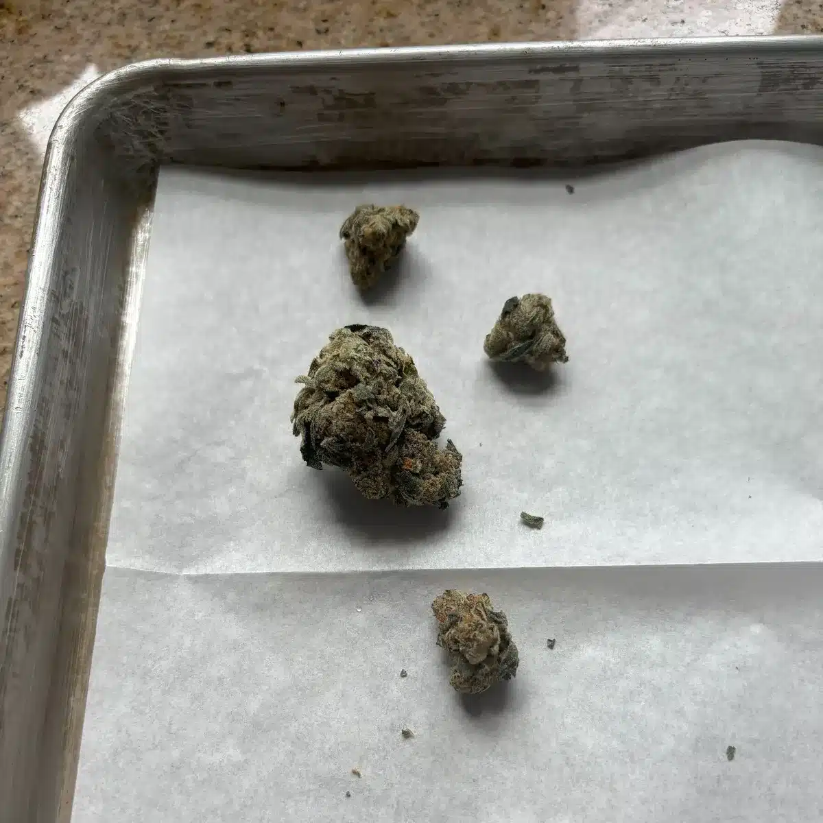 Nugs on parchment paper on a baking sheet